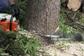 Best Soil Testing and Treatment  in Tuckerton, NJ